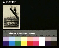 藏品(臺北新公園與台博館黑白相片)的圖片